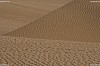 Dunes dans le désert<br>Abu Dhabi